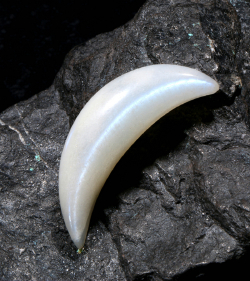 月亮石月牙形挂坠 规格39*11mm 重量 5.19克 编码 33003207