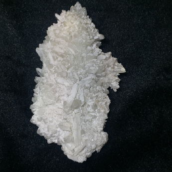 白晶簇 规格// 重量 // 编码 22003596