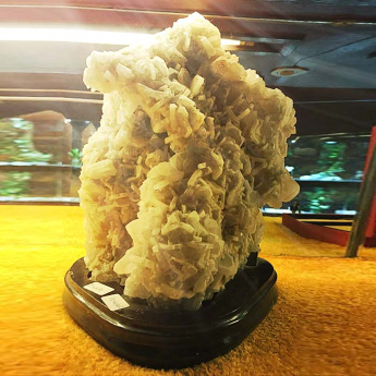 白晶簇 规格8*10*21/ 重量 // 编码 11000203