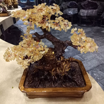 黄晶盘龙发财树（金盆） 规格高35*35cm 重量 // 编码 94000411