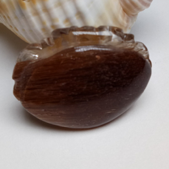 金铜泰如意挂坠 规格3.4×2.35×0.4mm 重量 6.22克 编码 80001899
