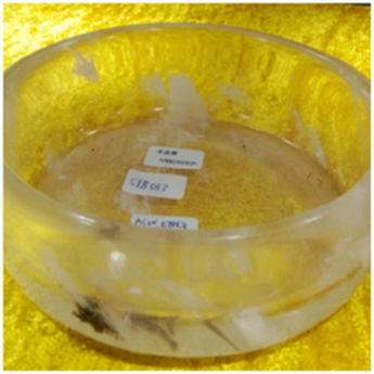 原石水晶锅 规格14*5.5cm 重量 // 编码 43300040