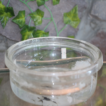 原石水晶锅 规格23*9cm 重量 // 编码 35102548