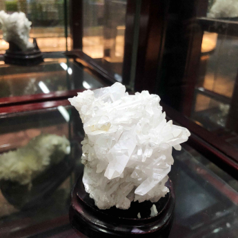 白晶簇 规格12*9cm 重量 0.3/ 编码 22003966