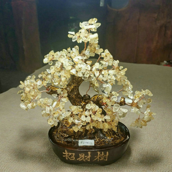 招财树（0588椭圆盆）-黄晶 规格高23宽26cm 重量 // 编码 94000376
