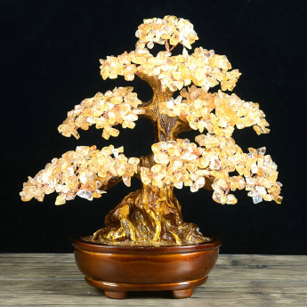黄晶发财树-财福树 规格高30 cm 重量 // 编码 94000534