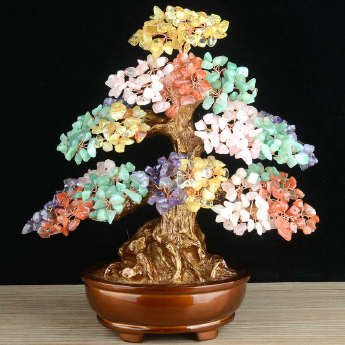 多彩发财树-财福树 规格高30 cm 重量 // 编码 94000536