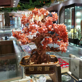 高招财 招财树（方盆）-红玛瑙 规格高33宽33cm 重量 // 编码 94000434