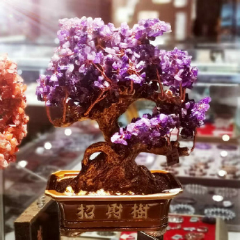 高招财 招财树（方盆）-紫晶 规格高33宽33cm 重量 // 编码 94000432