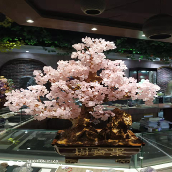 聚宝招财树-粉晶 规格高55宽55cm 重量 // 编码 94000284