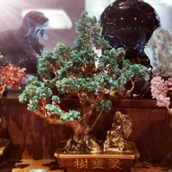 聚宝招财树-东陵玉 规格高55宽55cm 重量 // 编码 94000285
