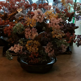 招财树（0588椭圆盆）-多彩 规格高23宽26cm 重量 // 编码 94000379