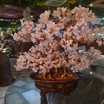 和乐生财招财树-白晶 规格高35宽35cm 重量 // 编码 94000160