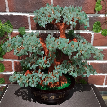 和乐生财招财树-东陵玉 规格高35宽35cm 重量 // 编码 94000159