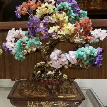 聚宝招财树-多彩 规格高55宽55cm 重量 // 编码 94000282