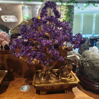 聚宝招财树-紫晶 规格高55宽55cm 重量 // 编码 94000281