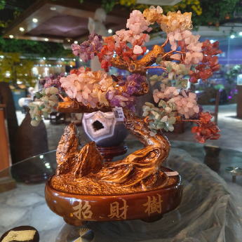 金招财树（椭圆盆）-多彩 规格高35宽35cm 重量 // 编码 94000397