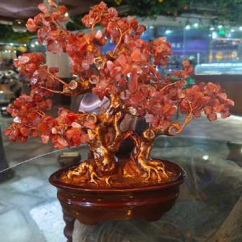 双龙发财树（椭圆盆）-红玛瑙 规格高30*28cm 重量 // 编码 94000426