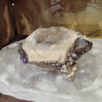 矿标象形龟摆件（水晶大王收藏） 规格// 重量 // 编码 19002995