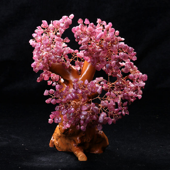 碧玺发财树 规格/cm 重量 // 编码 94000476