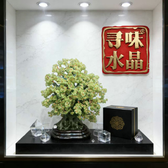 中榕树发财树-橄榄石 规格高55宽43cm 重量 // 编码 94000518