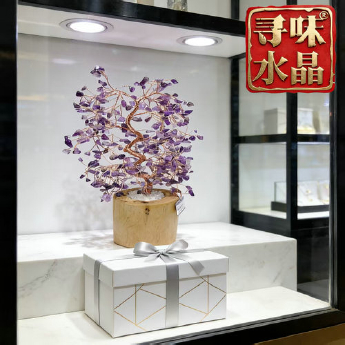 紫晶崖柏盆摇钱树 规格/cm 重量 // 编码 94000075