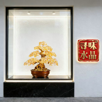 黄晶发财树-财福树 规格高30 cm 重量 // 编码 94000534