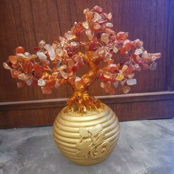 红玛瑙福袋招财树 规格高23宽23cm 重量 // 编码 94000035