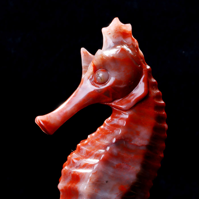 矿区体验 体验店 矿区体验店 三彩玉海马摆件92440043 种类:雕刻摆件